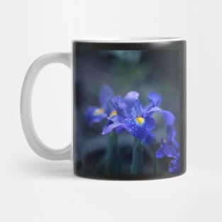 Iris Mug